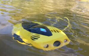 Chasing Dory